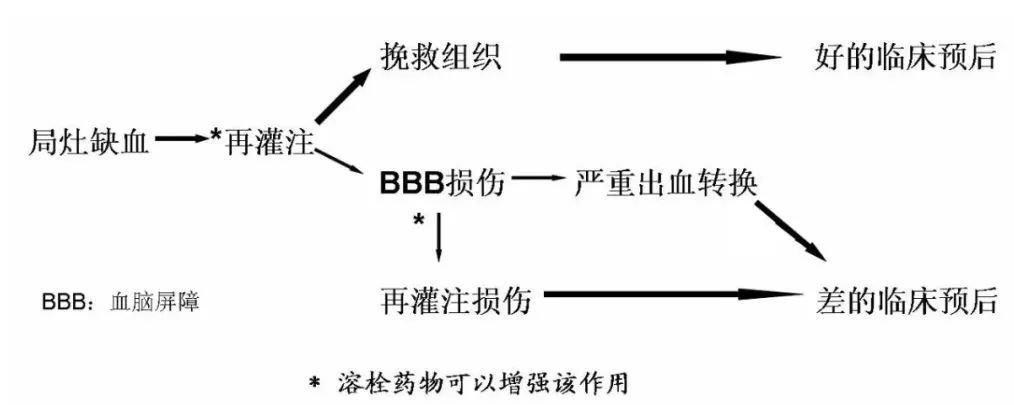 徐安定教授：脑梗死后出血转化防治新思路与新靶点-医博网